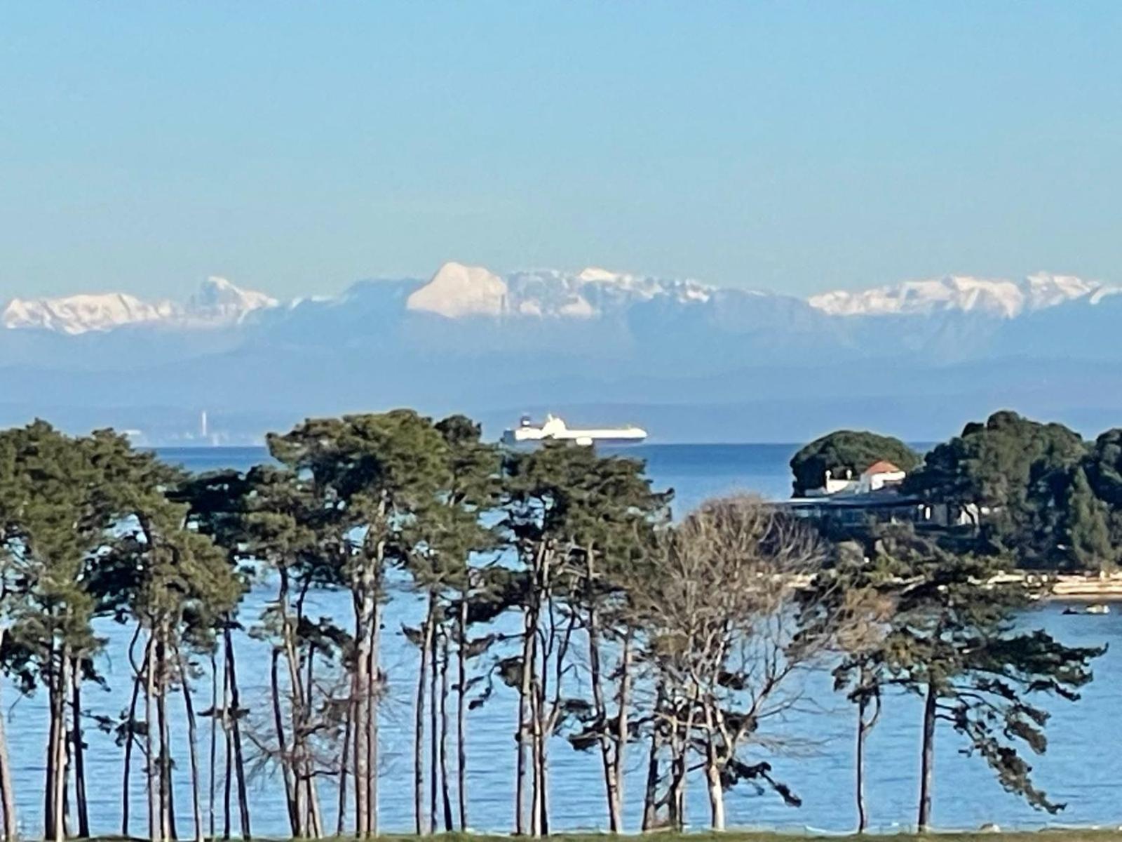 Baden Resort Basanija, Umag-With Sea View, Parking And 300M From The Beach Zewnętrze zdjęcie